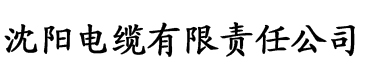 丰满女人又爽又紧又丰满电缆厂logo